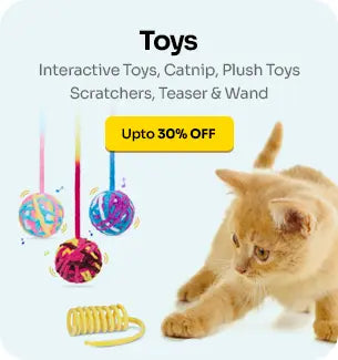 Cat-Small-toys_large_1