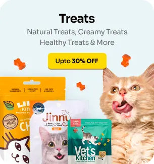 Cat-Small-treats_large_1