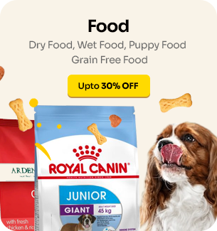 Dog-Small-food_large_1