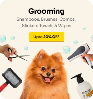 Dog-Small-groom_large_1