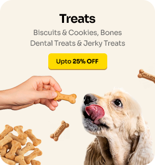 Dog-Small-treats_large_1