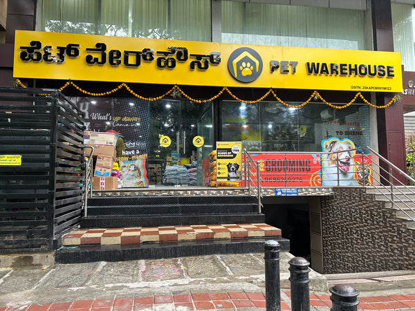 jayanagar-petstore